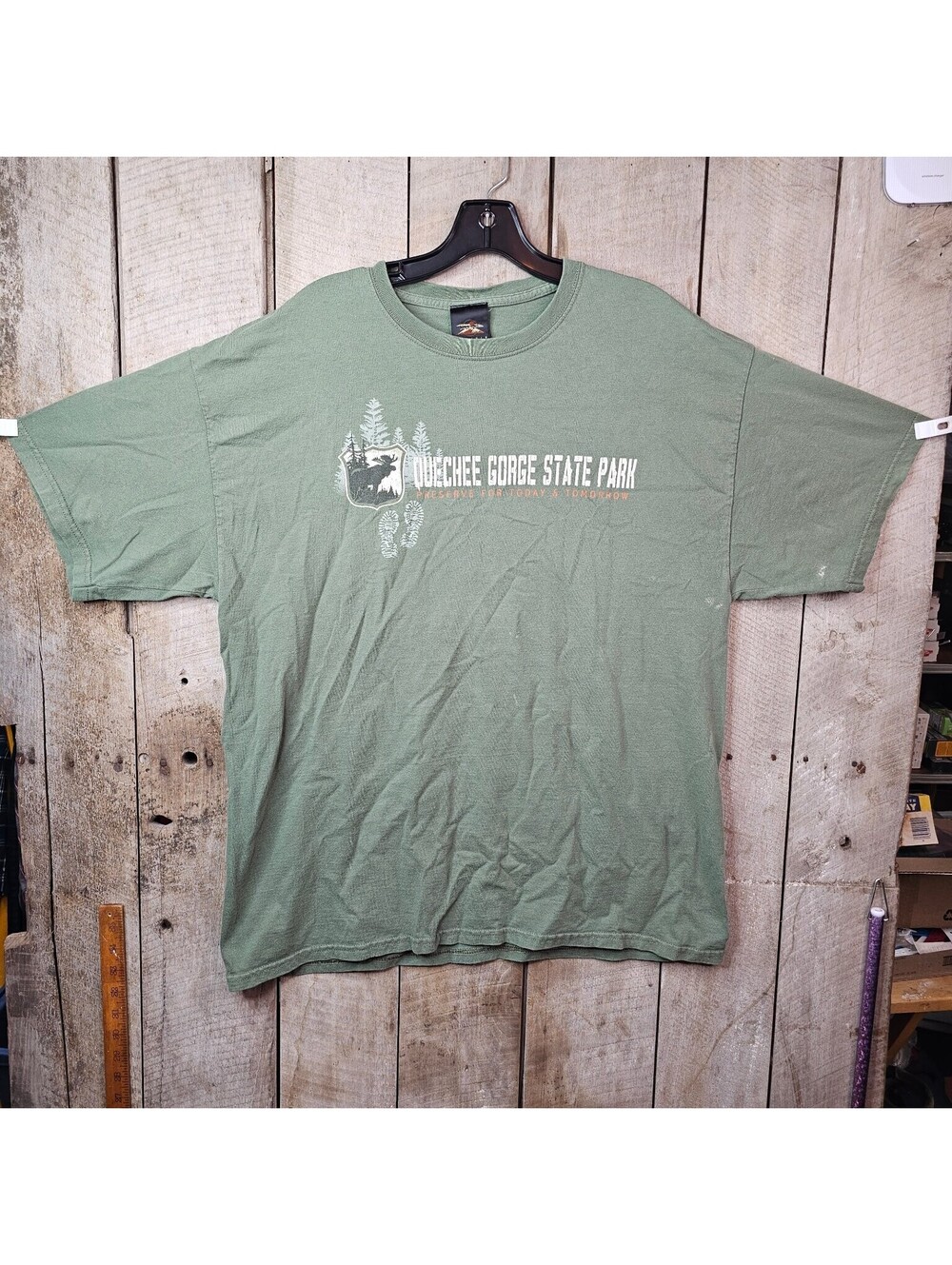 Prairie Mountain Ocoee Gorge State Park T-Shirt Men's XL Sage Green Graphic Tee